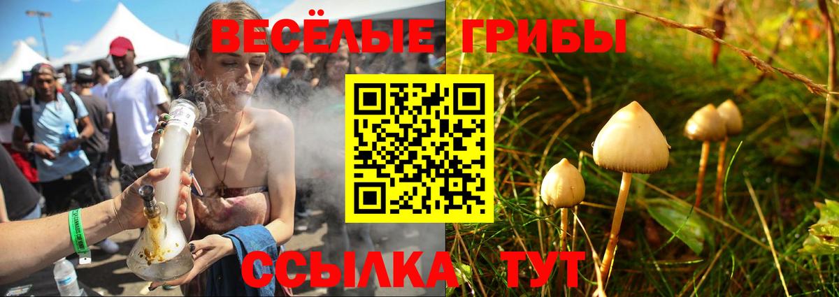Галлюциногенные грибы Cubensis  Вход с VPN  Звенигород 