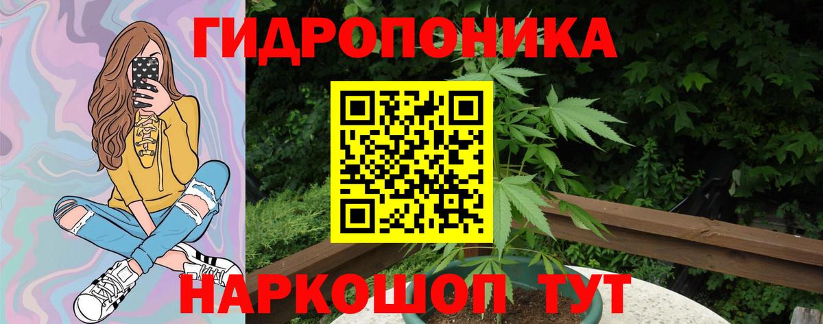 МАРИХУАНА план  Шишки марихуана THC 21%  Вход с VPN  Звенигород  Бошки Шишки White Widow  Марихуана семена 